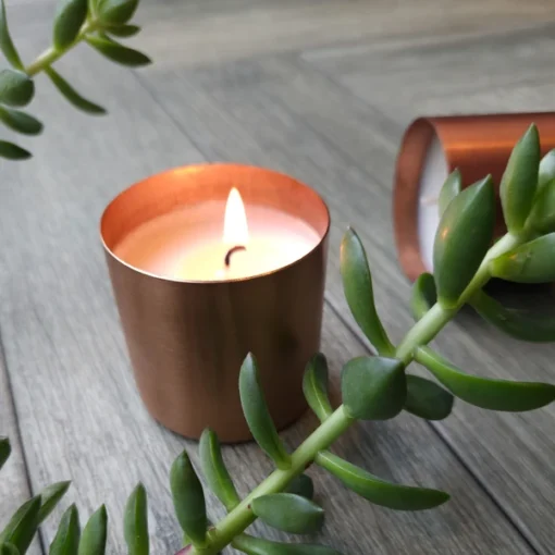 Spark Succulent Spark Candle